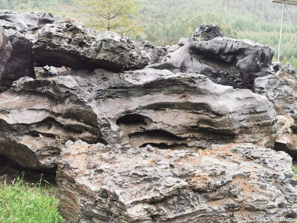 风景石、假山石大量有货，有需要的欢迎联系 - 新手上路 - 海南生活社区 - 海南28生活网 hainan.28life.net
