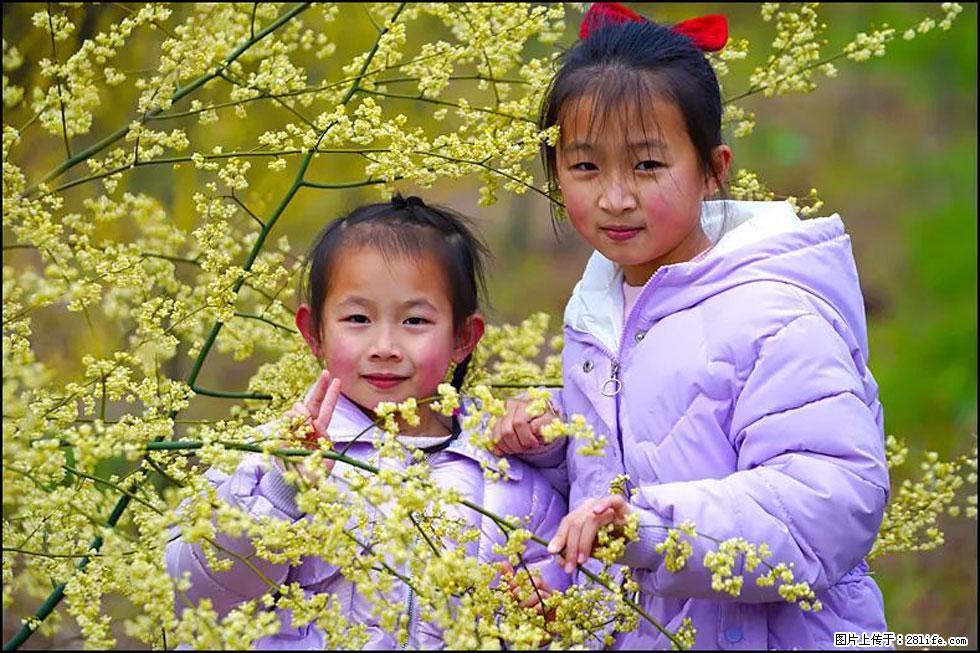 【春天，广西桂林灌阳县向您发出邀请！】米珠山前有片山苍子花在飘香 - 游山玩水 - 海南生活社区 - 海南28生活网 hainan.28life.net