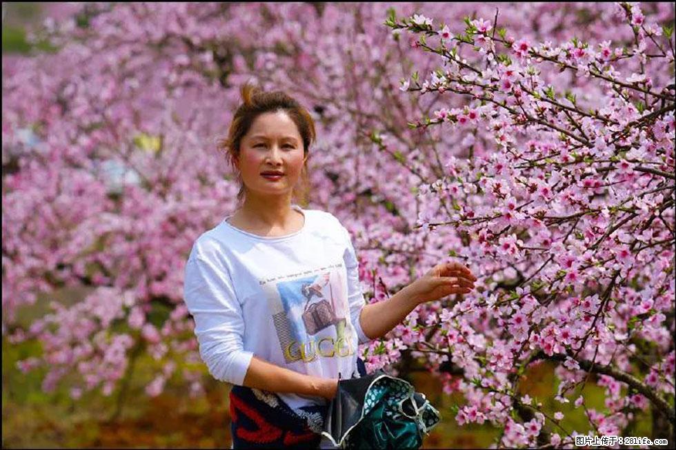 【春天，广西桂林灌阳县向您发出邀请！】官庄村有个醉美的桃花园 - 游山玩水 - 海南生活社区 - 海南28生活网 hainan.28life.net