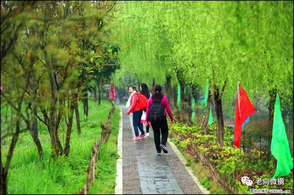 【春天，广西桂林灌阳县向您发出邀请！】江口老街又逢春 - 游山玩水 - 海南生活社区 - 海南28生活网 hainan.28life.net