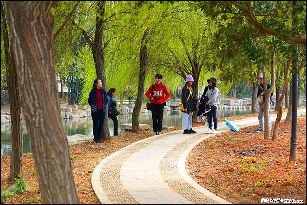 【春天，广西桂林灌阳县向您发出邀请！】江口老街又逢春 - 游山玩水 - 海南生活社区 - 海南28生活网 hainan.28life.net