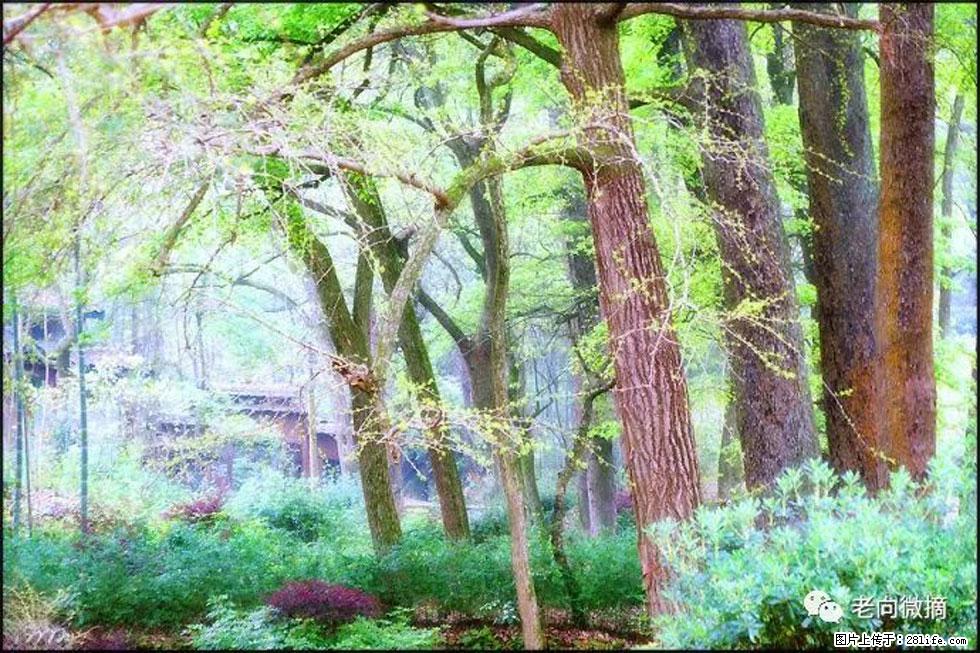 【春天，广西桂林灌阳县向您发出邀请！】在小龙村与春天约会 - 游山玩水 - 海南生活社区 - 海南28生活网 hainan.28life.net