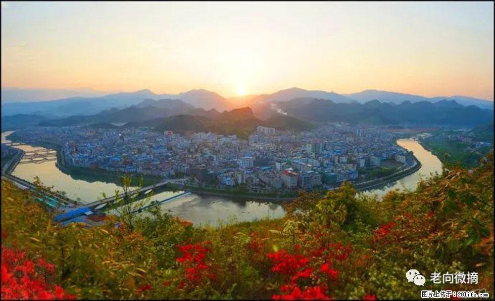 【春天，广西桂林灌阳县向您发出邀请！】登麒麟山，相约映山红 - 游山玩水 - 海南生活社区 - 海南28生活网 hainan.28life.net