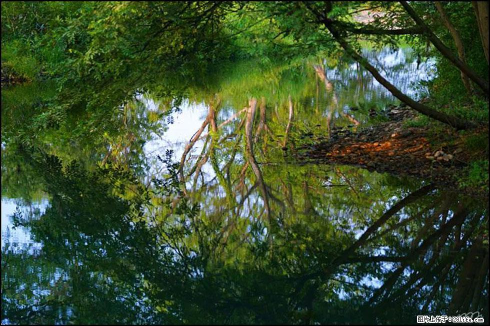 【春天，广西桂林灌阳县向您发出邀请！】熊家寨湿地公园 - 游山玩水 - 海南生活社区 - 海南28生活网 hainan.28life.net