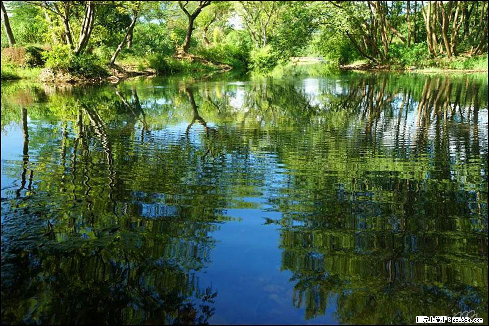 【春天，广西桂林灌阳县向您发出邀请！】熊家寨湿地公园 - 游山玩水 - 海南生活社区 - 海南28生活网 hainan.28life.net