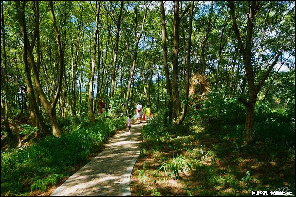 【春天，广西桂林灌阳县向您发出邀请！】熊家寨湿地公园 - 游山玩水 - 海南生活社区 - 海南28生活网 hainan.28life.net