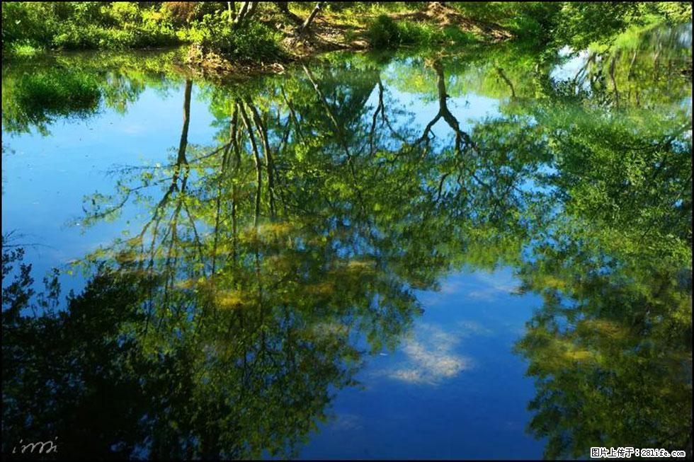 【春天，广西桂林灌阳县向您发出邀请！】熊家寨湿地公园 - 游山玩水 - 海南生活社区 - 海南28生活网 hainan.28life.net