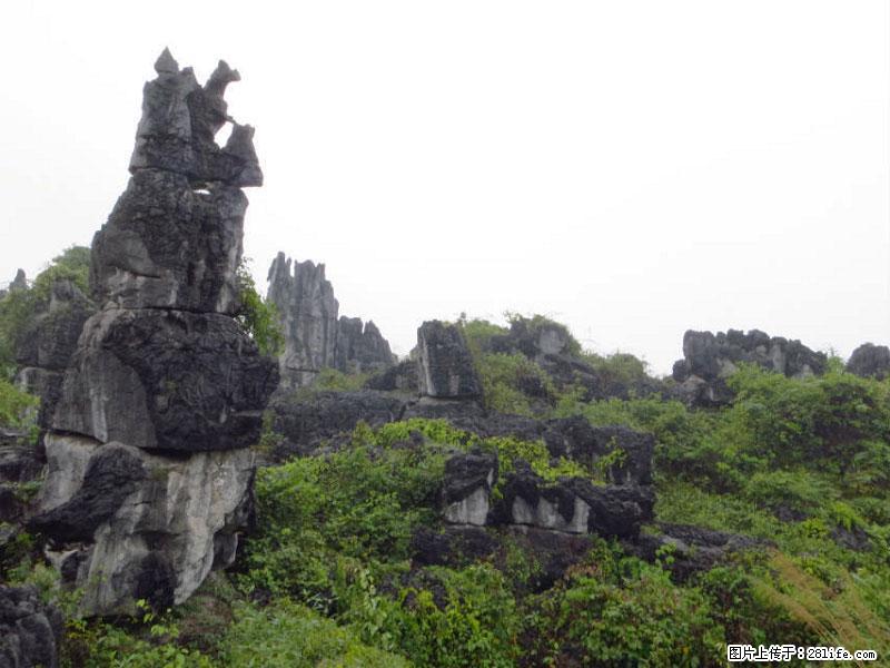 桂林旅游名城景点：灌阳文市石林 - 游山玩水 - 海南生活社区 - 海南28生活网 hainan.28life.net