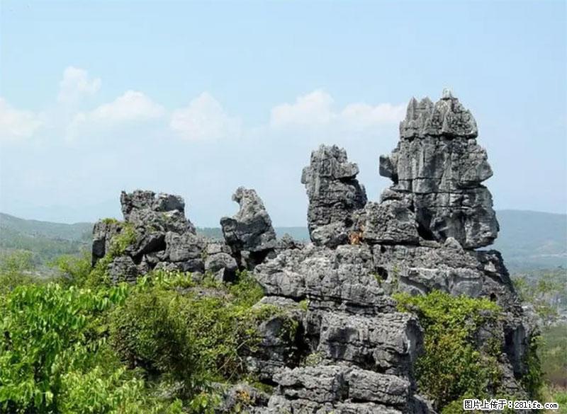 桂林旅游名城景点：灌阳文市石林 - 游山玩水 - 海南生活社区 - 海南28生活网 hainan.28life.net