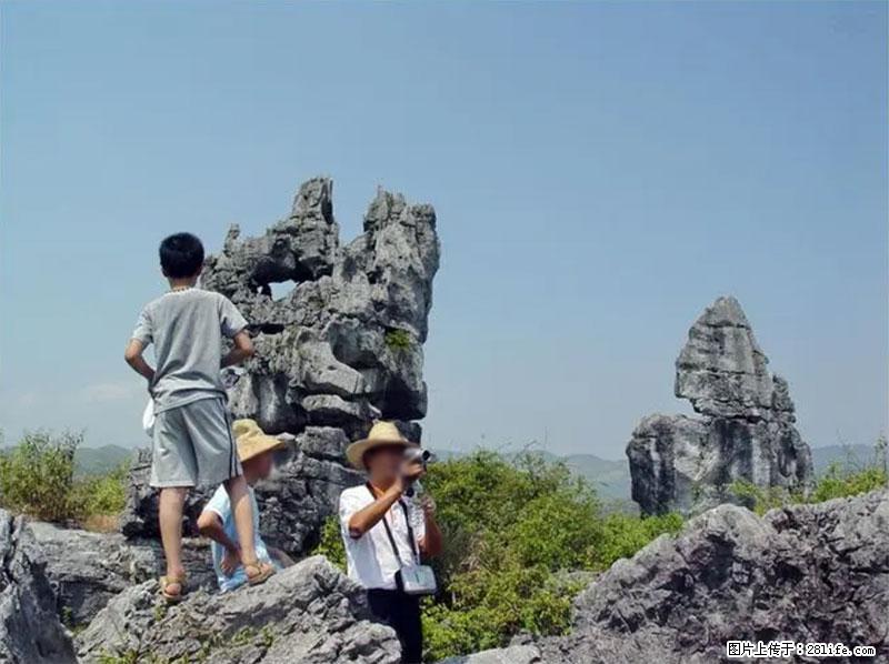 桂林旅游名城景点：灌阳文市石林 - 游山玩水 - 海南生活社区 - 海南28生活网 hainan.28life.net