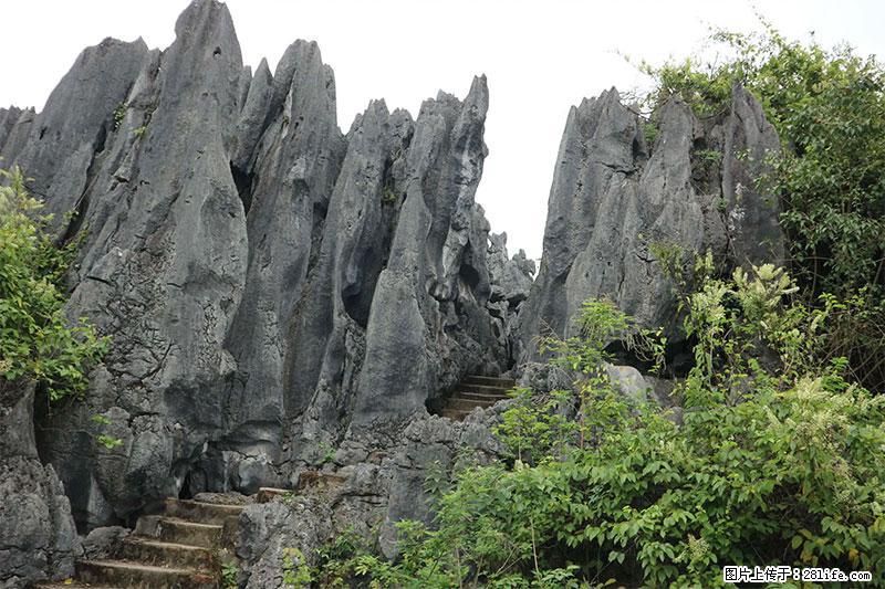桂林旅游名城景点：灌阳文市石林 - 游山玩水 - 海南生活社区 - 海南28生活网 hainan.28life.net