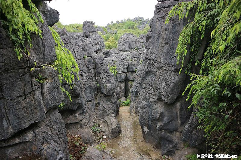 桂林旅游名城景点：灌阳文市石林 - 游山玩水 - 海南生活社区 - 海南28生活网 hainan.28life.net