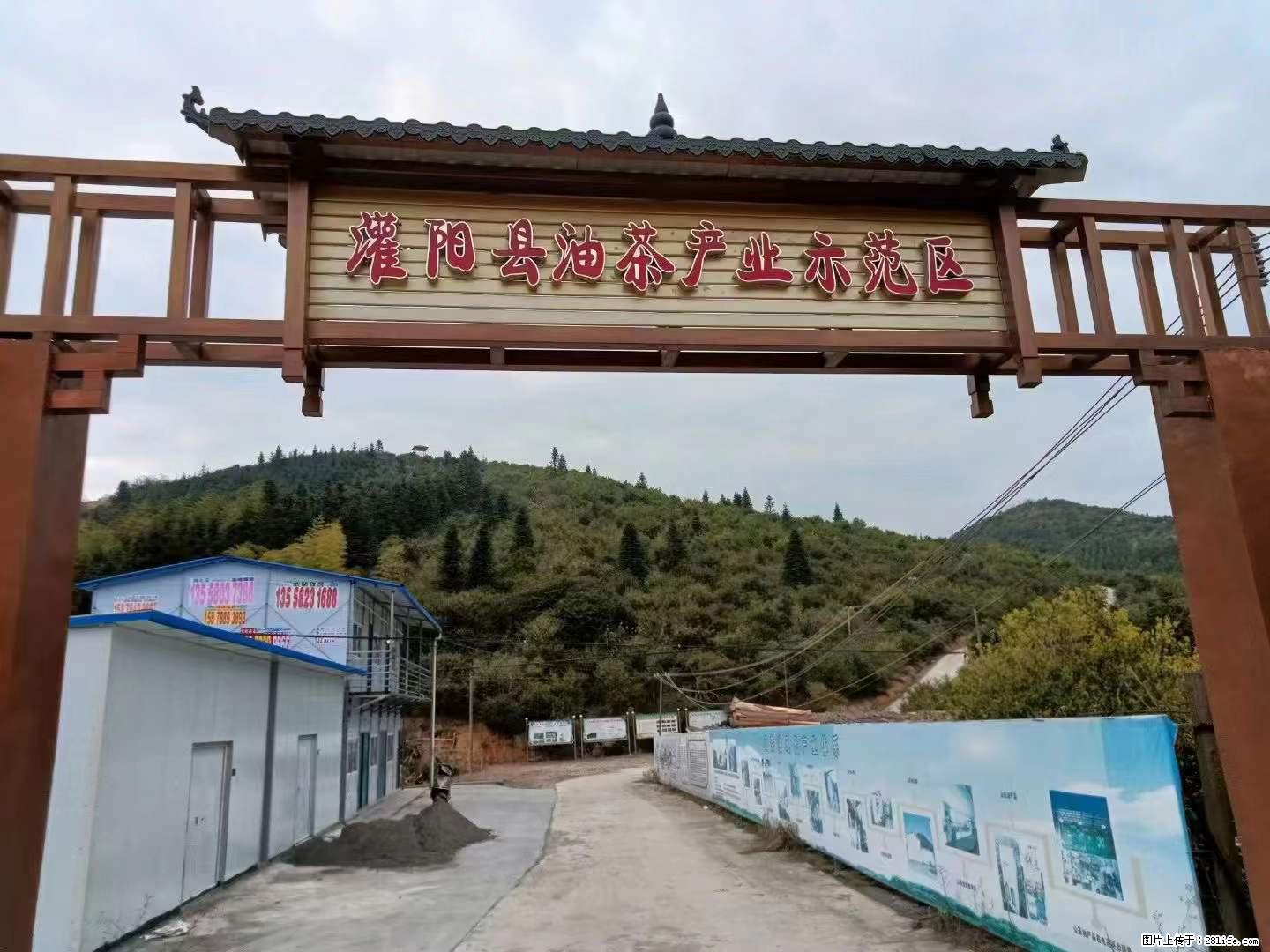 【灌阳县油茶产业示范区】一个有着充实的精神生活的人,对待身外之物自会有一种淡泊的态度 - 美食天地 - 海南生活社区 - 海南28生活网 hainan.28life.net