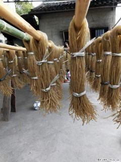 【灌阳正宗红薯粉】美女家里自己做的，干净卫生，假一赔十，价格合理，抢购电话：13737312895 - 海南28生活网 hainan.28life.net