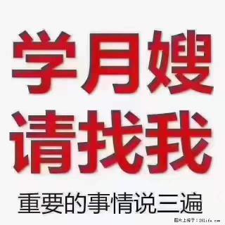 为什么要学习月嫂，育婴师？ - 海南28生活网 hainan.28life.net