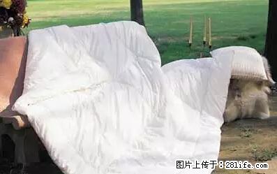 被子有异味？只要这样做，比晒太阳还强100倍！ - 家居生活 - 海南生活社区 - 海南28生活网 hainan.28life.net
