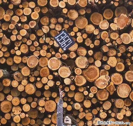 辞掉工作周游世界？现在他们在洗厕所…… - 游山玩水 - 海南生活社区 - 海南28生活网 hainan.28life.net