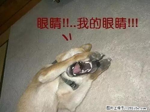 笑癫了!一女的怀孕三年未生,他终于忍不住了... - 娱乐八卦 - 海南生活社区 - 海南28生活网 hainan.28life.net