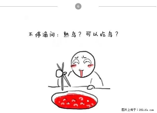 千万不要和这9种哈卵一起吃火锅！ - 美食天地 - 海南生活社区 - 海南28生活网 hainan.28life.net