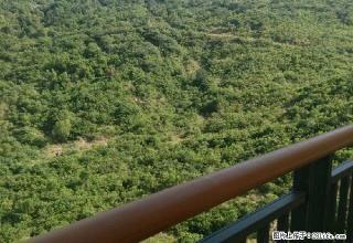 龙栖湾 1室1厅1卫 - 海南28生活网 hainan.28life.net