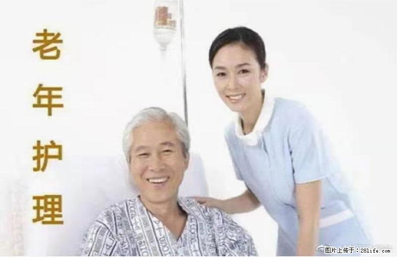 上海国企养老院，星级酒店环境，招聘养老护工 - 职场交流 - 海南生活社区 - 海南28生活网 hainan.28life.net