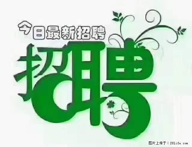 【招聘摄像师】待遇：试用期6000元/月，转正7000元/月+五险一金+餐补+节日福利+奖金 - 职场交流 - 海南生活社区 - 海南28生活网 hainan.28life.net