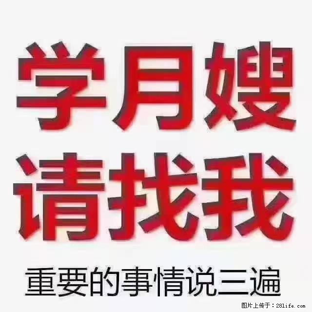 【招聘】月嫂，上海徐汇区 - 职场交流 - 海南生活社区 - 海南28生活网 hainan.28life.net