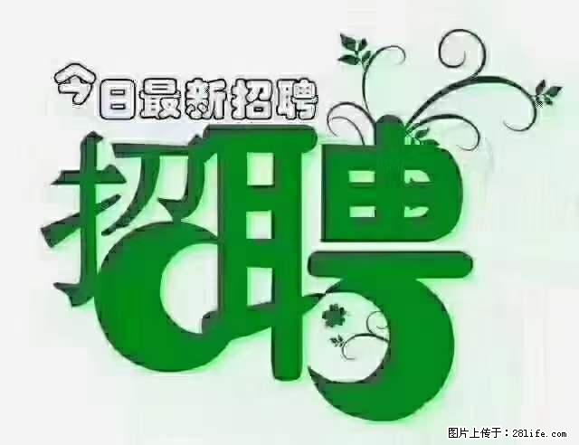 上海隔离酒店招人：55岁以下 男女不限 - 职场交流 - 海南生活社区 - 海南28生活网 hainan.28life.net
