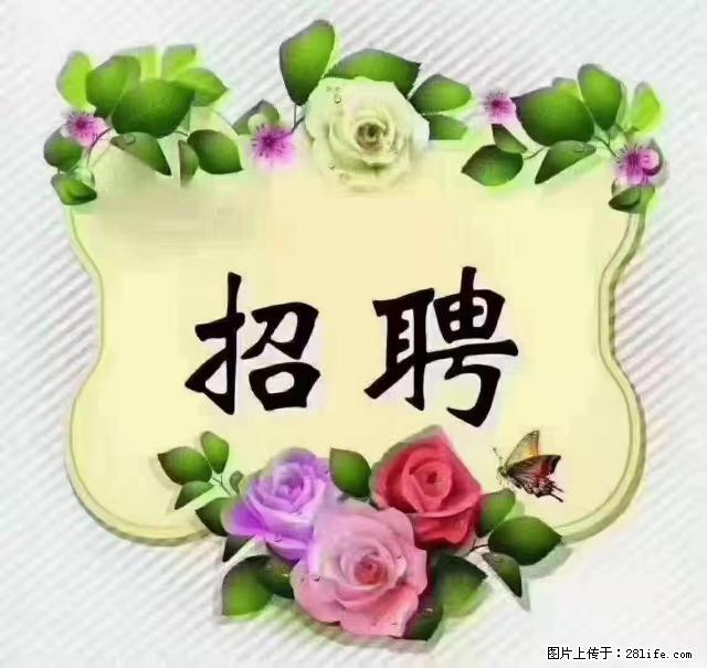 【招聘】住家育儿嫂，上户日期：4月4日，工作地址：上海 黄浦区 - 职场交流 - 海南生活社区 - 海南28生活网 hainan.28life.net