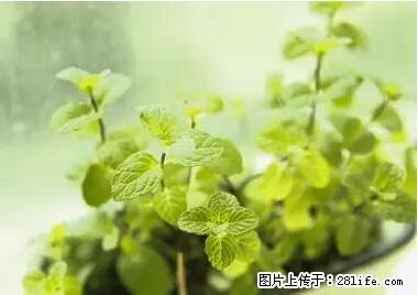 晕车、脚气、牙齿变黄、皮肤粗糙？学会这些三分钟搞定！ - 海南生活资讯 - 海南28生活网 hainan.28life.net