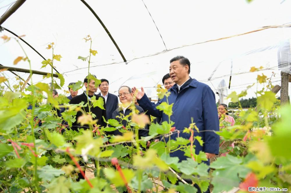 习近平赴广西考察调研 - 海南生活资讯 - 海南28生活网 hainan.28life.net