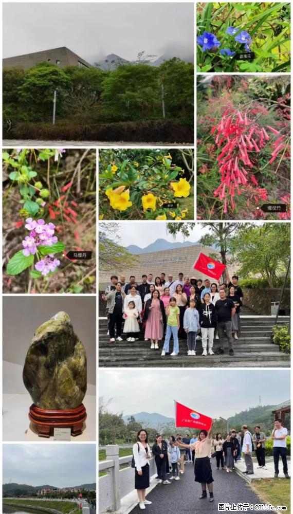 “粤灌文化 美好生活”油茶文化主题活动在广东深圳成功举办 - 海南生活资讯 - 海南28生活网 hainan.28life.net