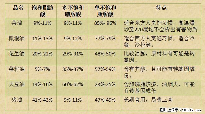 揭秘茶油的5大核心营养成分！被称为人体健康的“守护盾”！ - 海南生活资讯 - 海南28生活网 hainan.28life.net