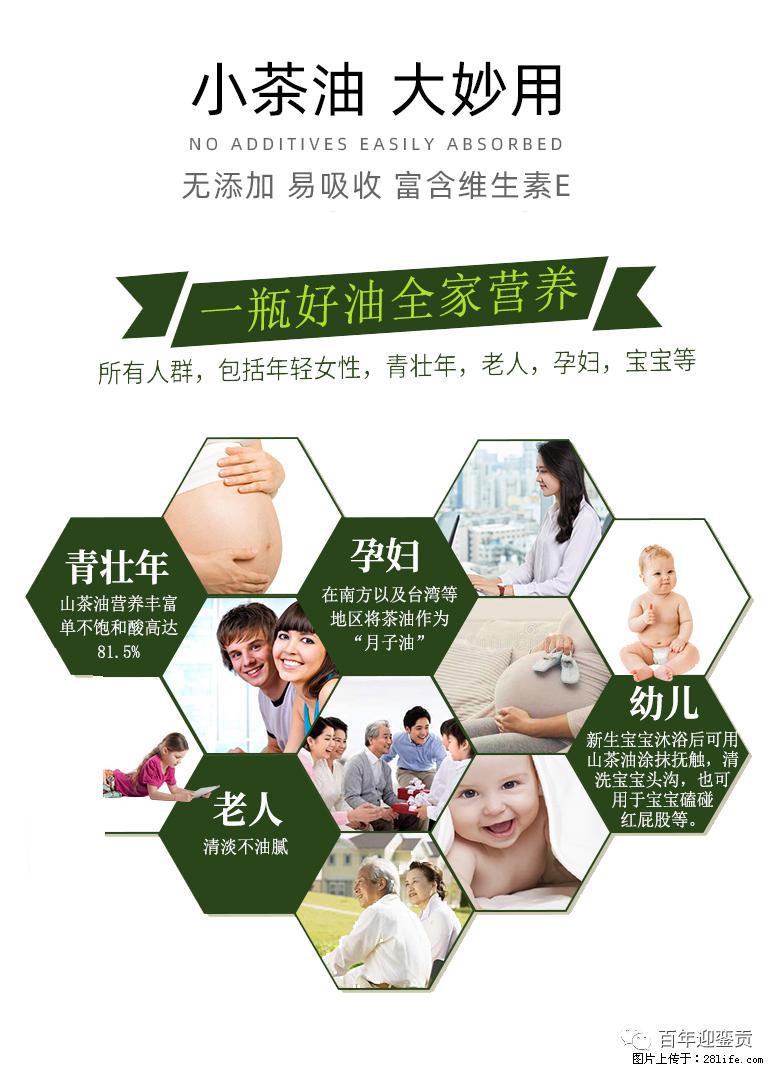 世界没有真相，只有认知，最好的食用油是中国的山茶油！ - 海南生活资讯 - 海南28生活网 hainan.28life.net