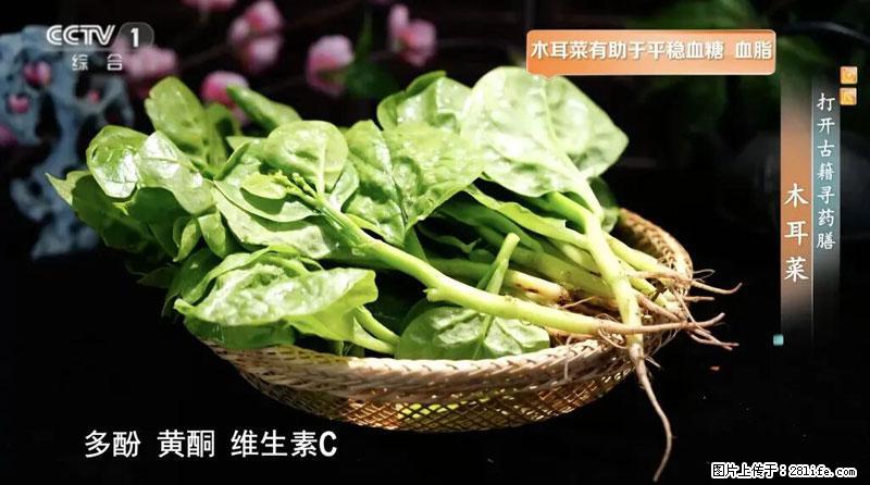 比牛奶补钙还厉害！凉血解毒、稳血糖...这菜冬天必吃，很多人却当草 - 海南生活资讯 - 海南28生活网 hainan.28life.net