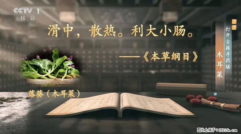 比牛奶补钙还厉害！凉血解毒、稳血糖...这菜冬天必吃，很多人却当草 - 海南生活资讯 - 海南28生活网 hainan.28life.net