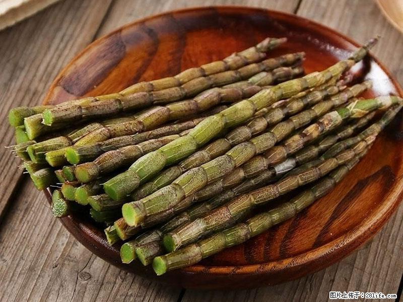 铁皮石斛的作用与功能主治 - 海南生活资讯 - 海南28生活网 hainan.28life.net