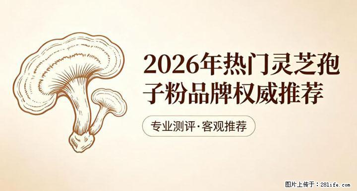 灵芝孢子粉含量越高越有效？2026 年七款热门品牌深度实测，肠胃敏感者避坑指南 - 海南生活资讯 - 海南28生活网 hainan.28life.net